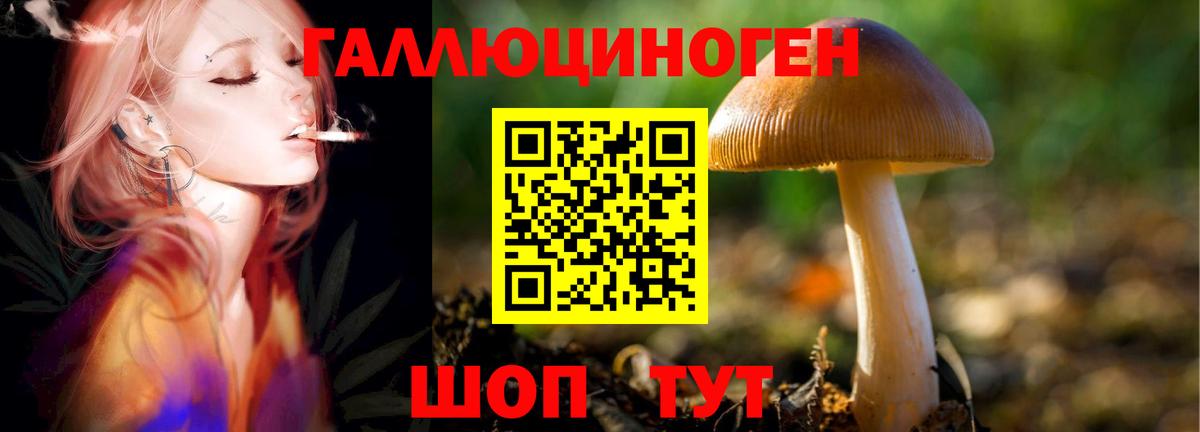 Псилоцибиновые грибы Psilocybe Лангепас